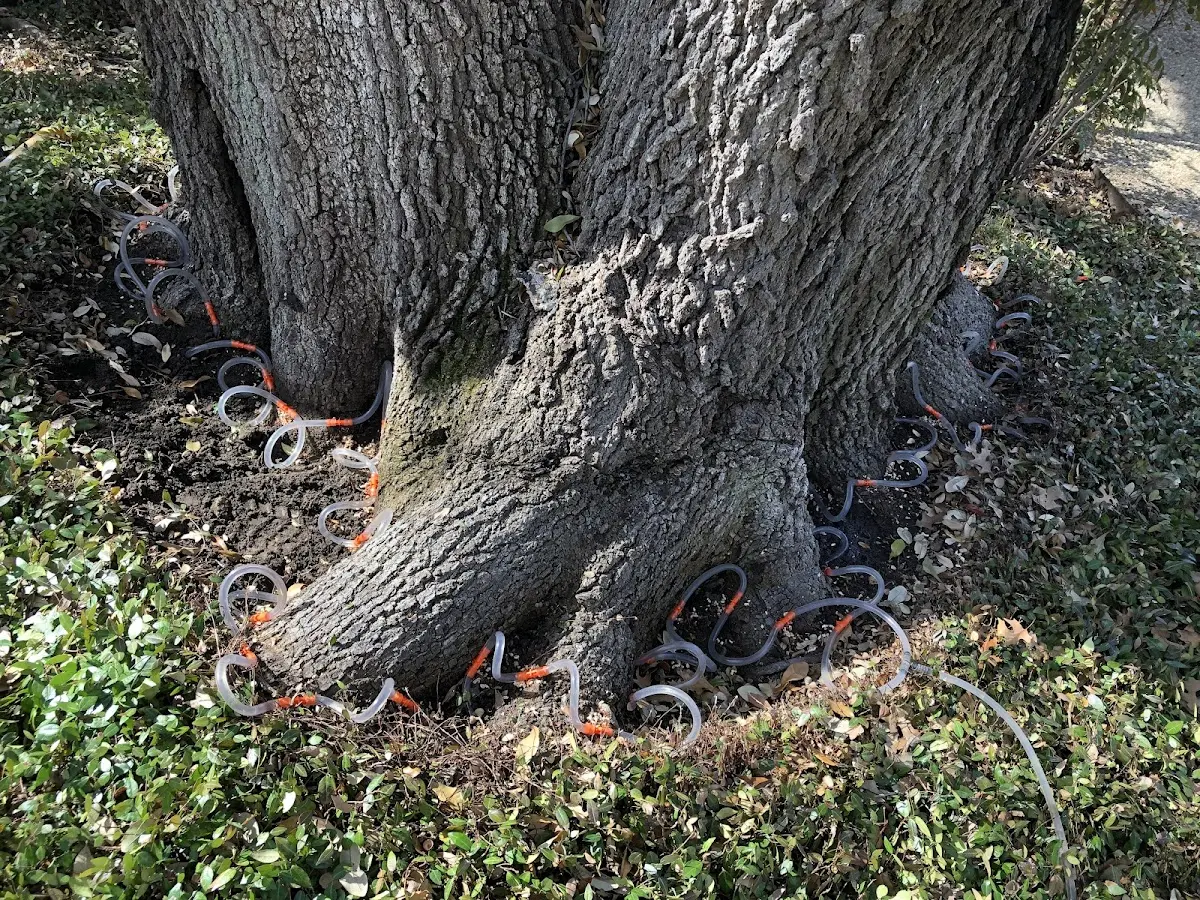 Detailed Shrub and Hedge Trimming job site in Adena
